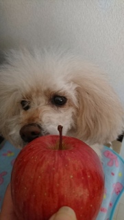 �����̂����