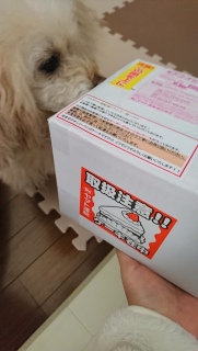 �s���|��