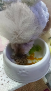 �P�O�΁c