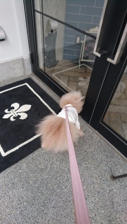 �T��������