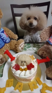 �܂��܂��c