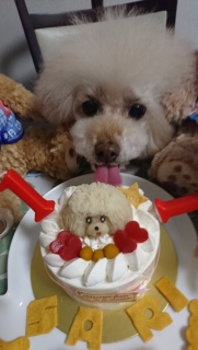 �y���[��