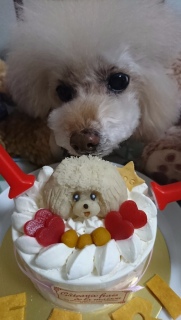 �ǂ������c