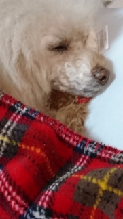 �����āc