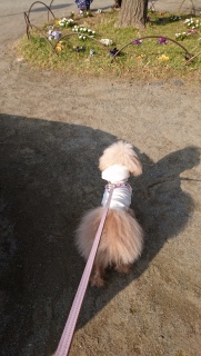 ������
