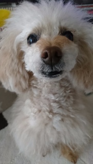 ���낻��