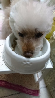 ���H����