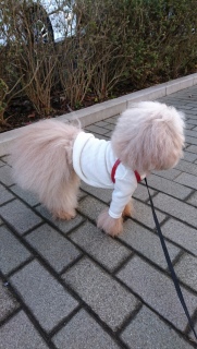 �i���Ă���