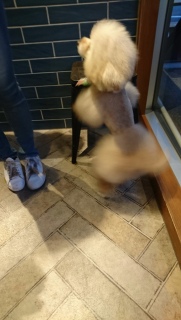 ���}��