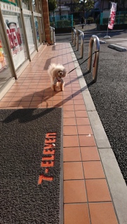 �����́c
