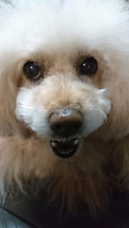 �����A�[��