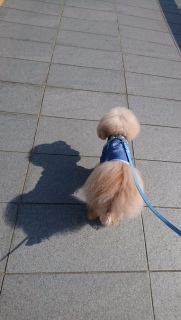 ����