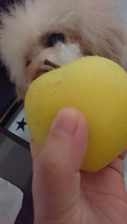 �����