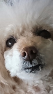 �O�͉J�c