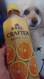 �g���ԓ`