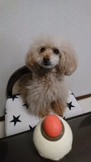 �ї������ɂ́c