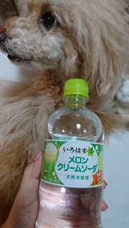 ���E��E�́E��