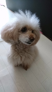 �H������V