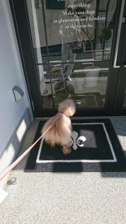 �T��������
