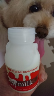 �҂��Ă��܂����c