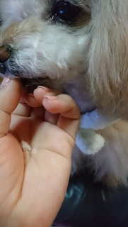 ���т�H�׏I����