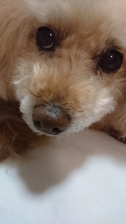���͂�c