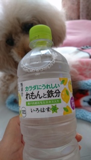 ���E��E�́E��