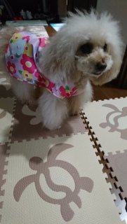 ���o�|��