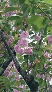 ���U���r��