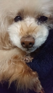 ���������c
