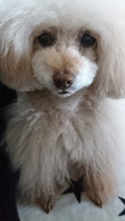 ���[����
