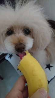 �����