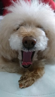 �}�}�̋C����