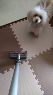 �_�C�\��
