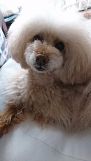 ���낻��
