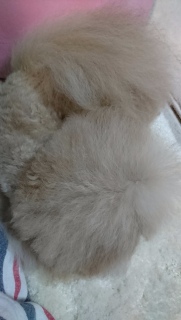 ���邵���Ȃ�