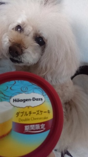 �n�[�Q���_�b�c