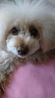 ���낻��