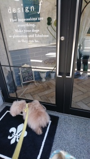 �T��������