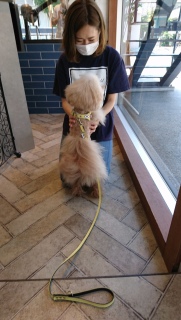 �i�������ˁc