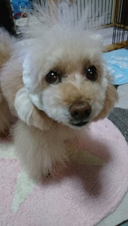 �[���͂�