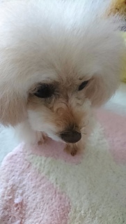 �B�����