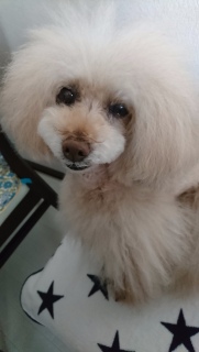 �H�ׂ�����[