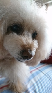 �J���~��O�Ɂc