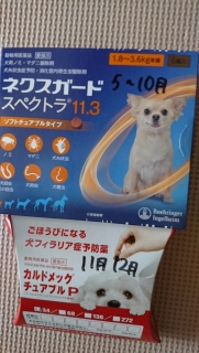 ����́c