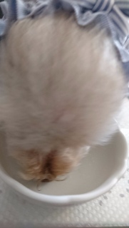 ���M�~���N