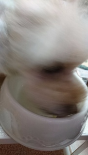 ������
