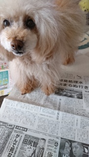 ����S