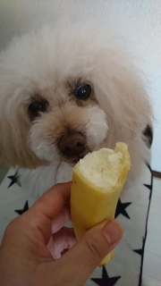 �҂�����Ȃ��c