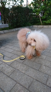 �ї������c